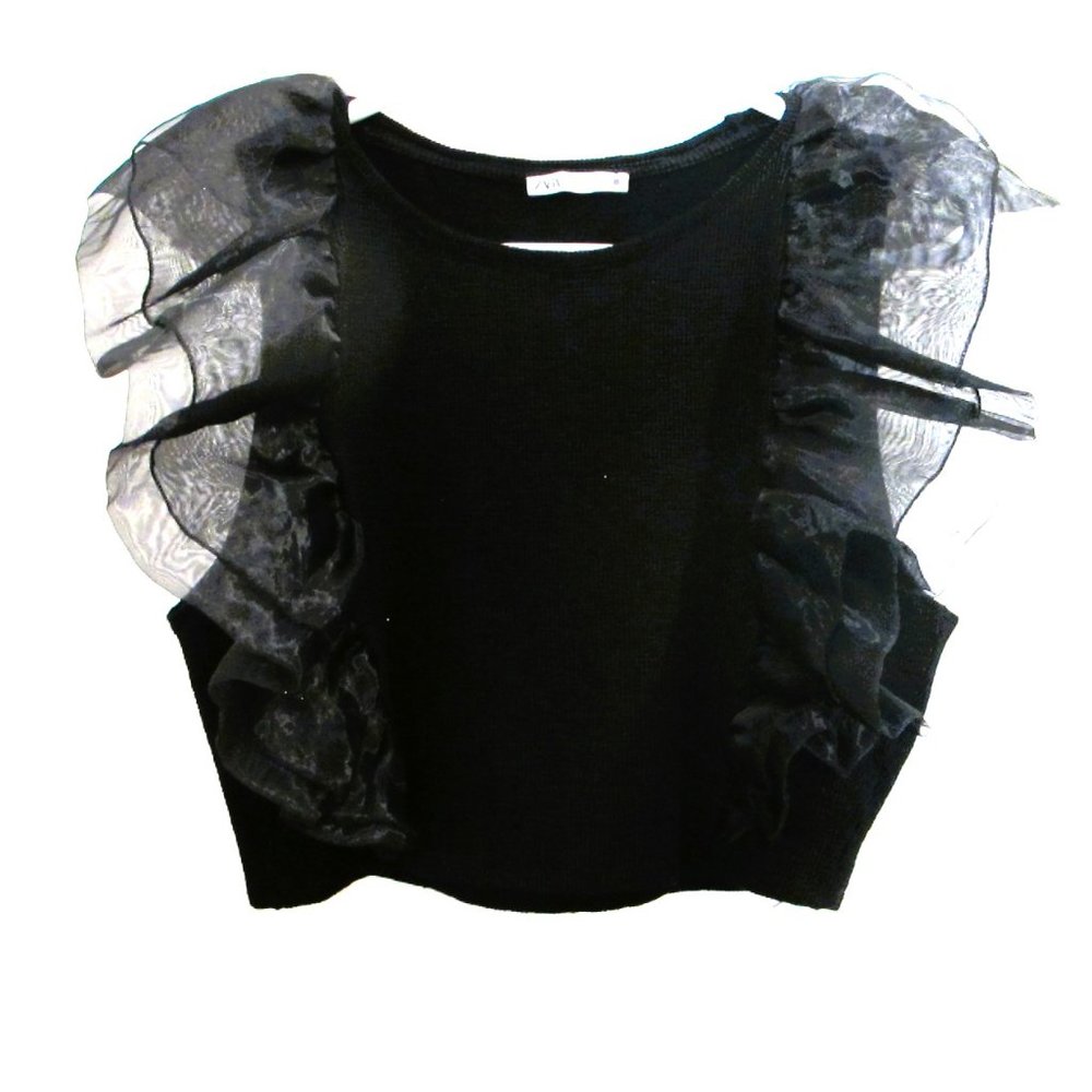 Zara Ruffle Sleeve Top